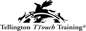 ttouchlogo